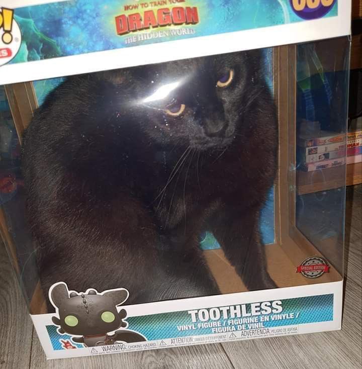 PunchingCat's tweet photo. unboxing video soon https://t.co/mdtMiBQsp2