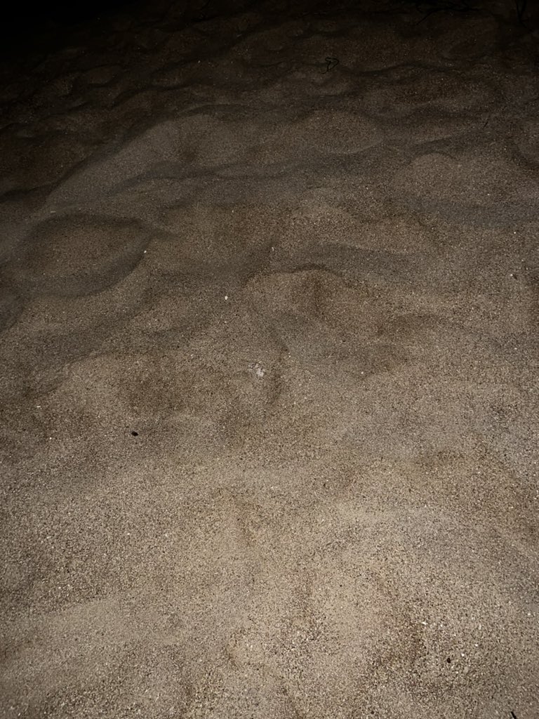 Ακόμα παραλία του Καϊάφα είμαστε 
Ένα ούζο παρτάκι μέχρι να βγει το φεγγάρι !
Δεν είμαστε πολλοί 7 μόνο !