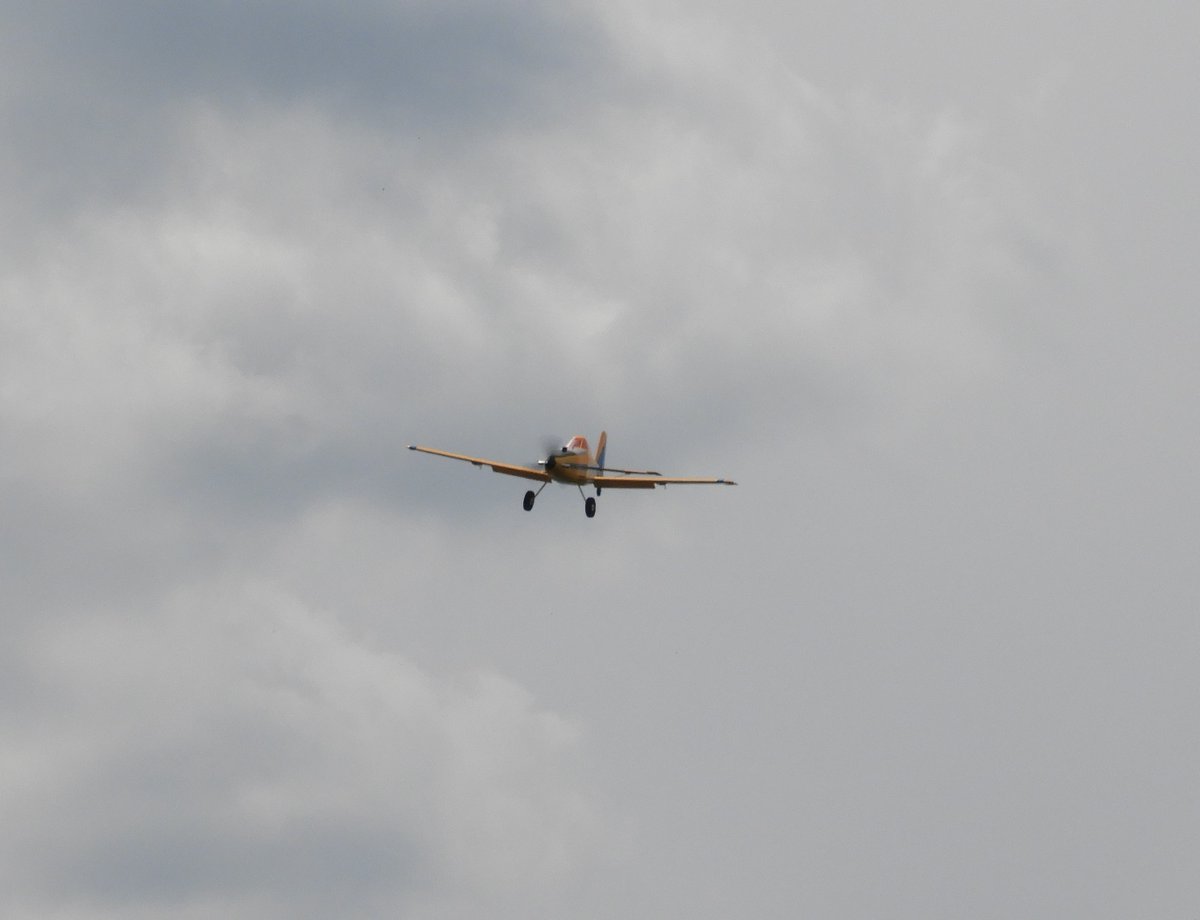 GreenSmoczek's tweet photo. I had so much fun flying RC models yesterday ^^
Can't wait to go out again :3

🛩️1: UMX F-86 Sabre 30mm EDF
🛩️2: UMX A-10 Thunderbolt II 30mm EDF
🛩️3: UMX Citation Longitude 30mm EDF
🛩️4: UMX Air Tractor https://t.co/OqBoMAIx4o