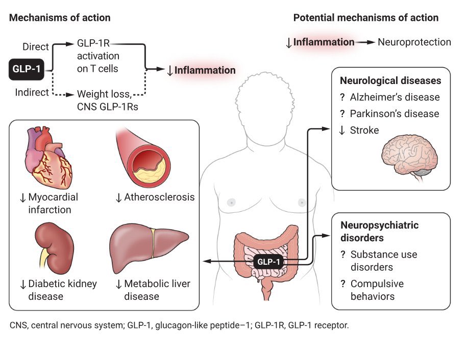 The expanding world of GLP-1 RAs is transforming clinical practice! Here's what it means:

#DiabetesCare #ObesityManagement #GLP1RA #CardioHealth #MedTwitter