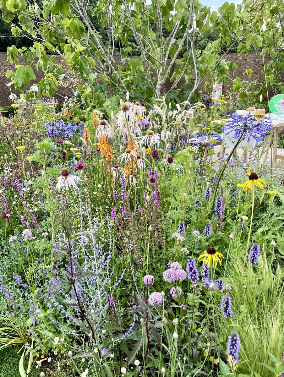 CBridgwaterRees's tweet photo. Beautiful #RHSTatton - Ollie Pike, young designerππ» https://t.co/JDtYjEs08f