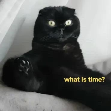 holy fucking wtf Biden whoa fidjdisjsjsjdskn https://t.co/pWZ7JI5OzL<a href="/tag/myxanniversary"class="tags"><span>#myxanniversary</span></a>