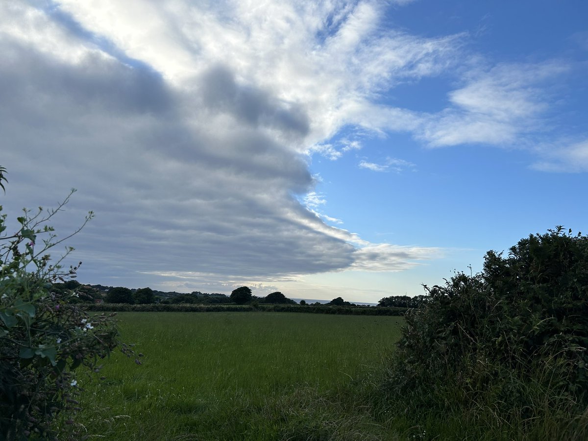 Lovely evening walk to the Forest eh ❤️ 🇬🇬 #visitguernsey