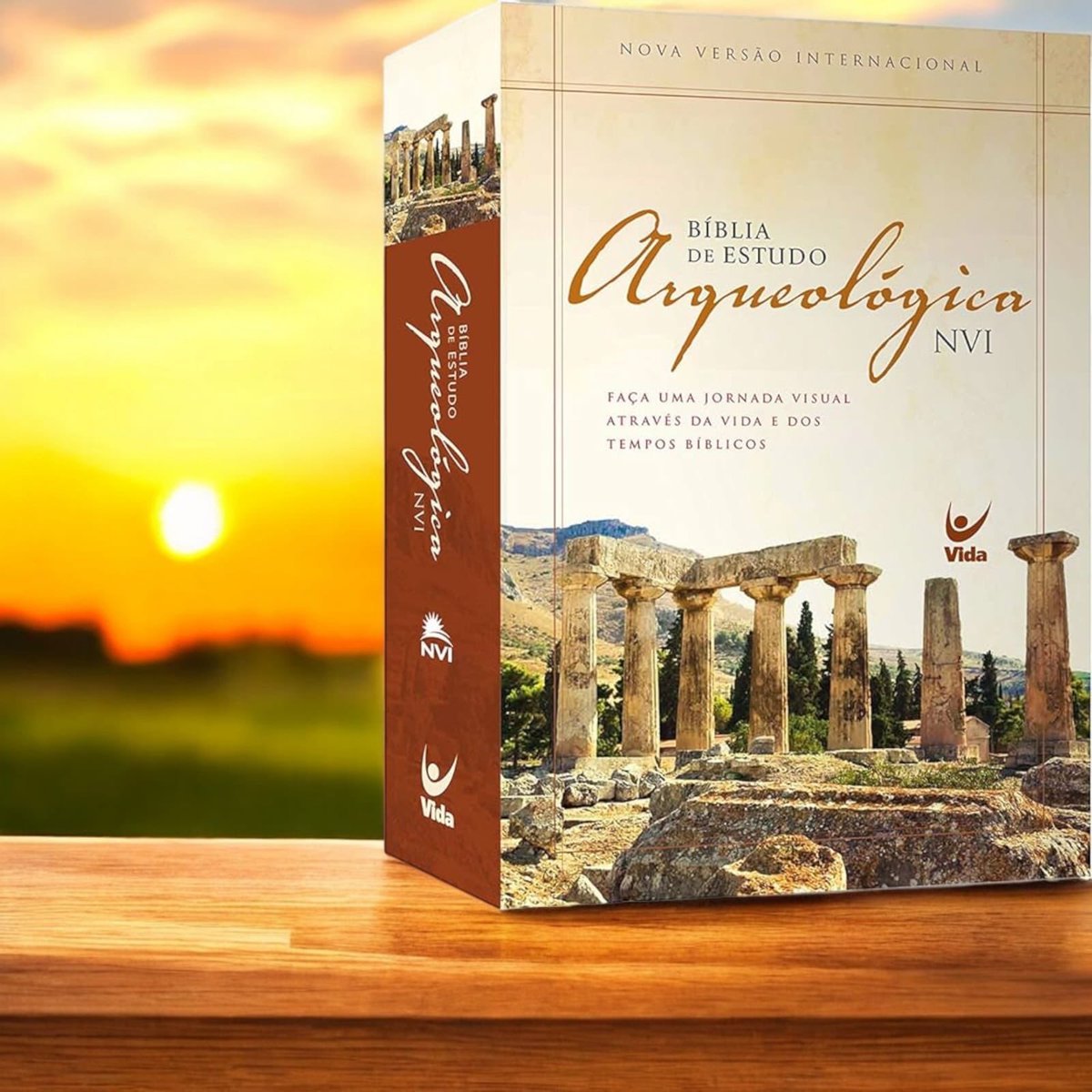 Terminei de ler a Bíblia de Estudo Arqueológica da Editora Vida (2013). Aqui estão minhas críticas detalhadas:

1. NVI: Esta versão da Bíblia, popular no Brasil desde 2000, passou por uma grande revisão em 2013. Porém, ainda é claramente uma tradução do inglês, o que simplifica e