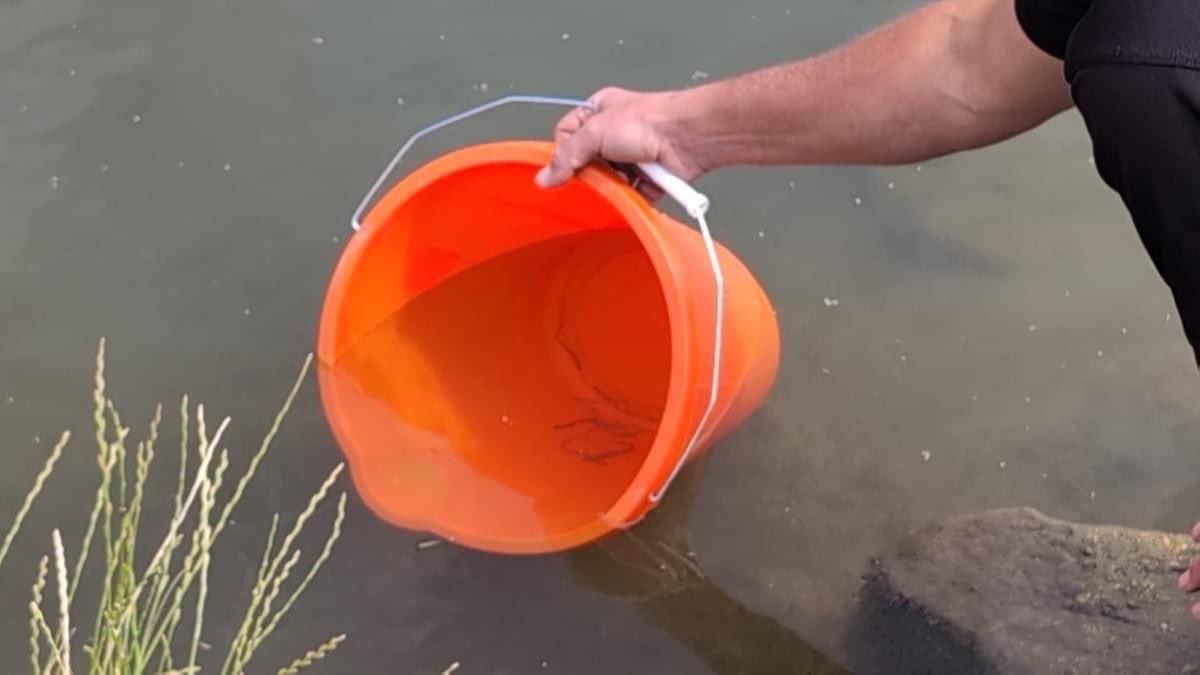 Whitminster School tweet media