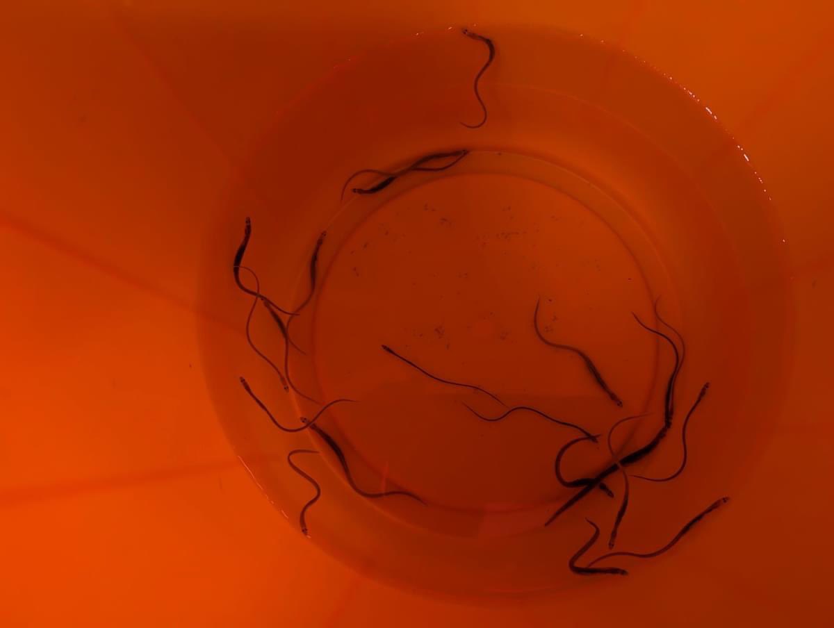 Whitminster School tweet media