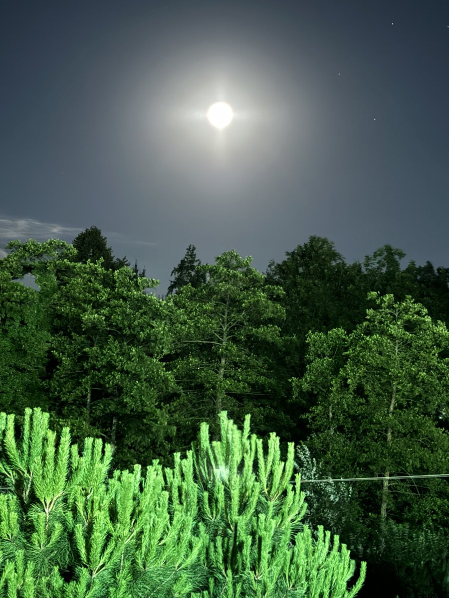 Ay’ın en güzel Hallerinden biri…🌛🌗🌔
#moon #ay #orman #OrmanıKoru