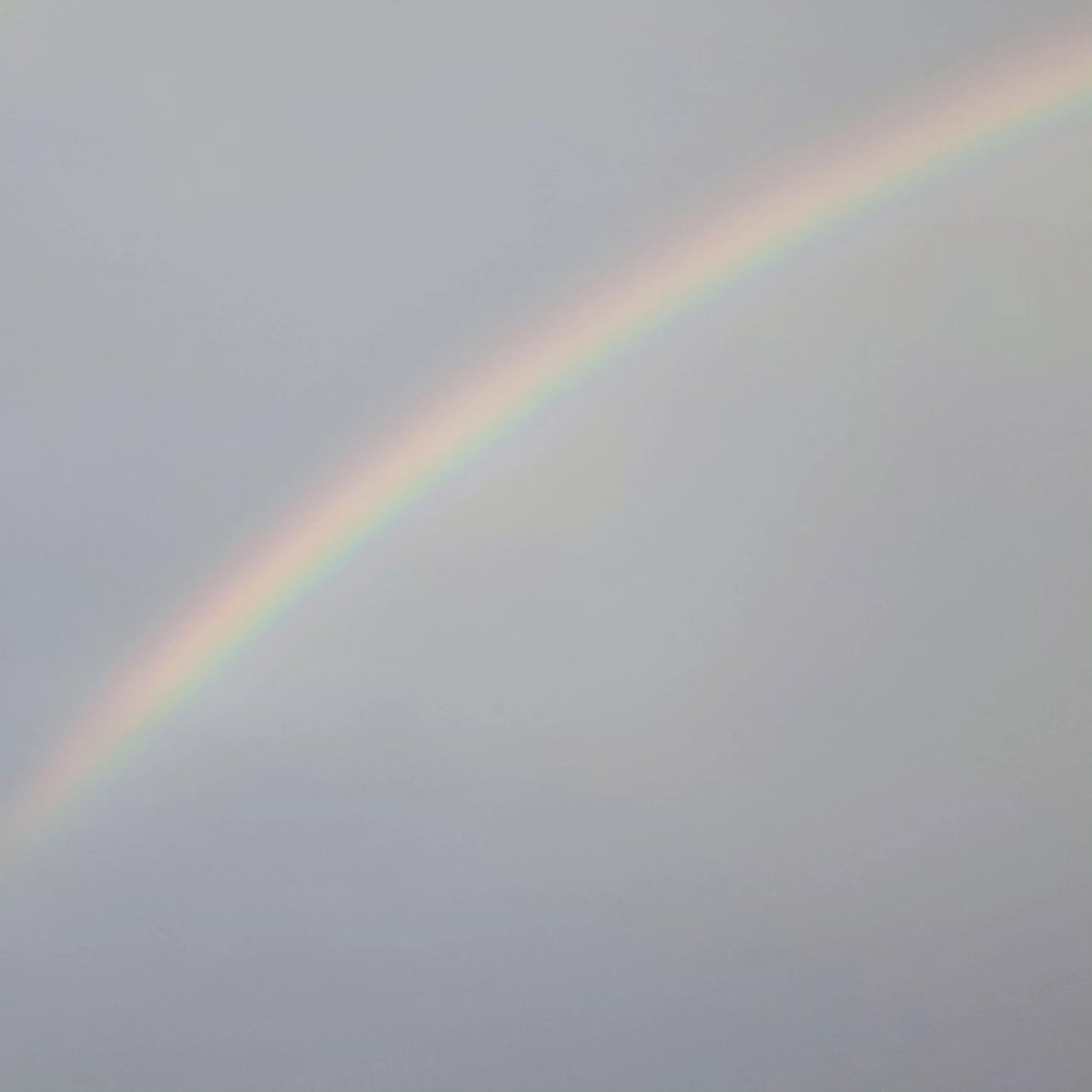 Es gibt Menschen, die hinterlassen einen Regenbogen auf deiner Seele – bunt und schön und wunderbar.

Du fehlst liebe T. 🖤