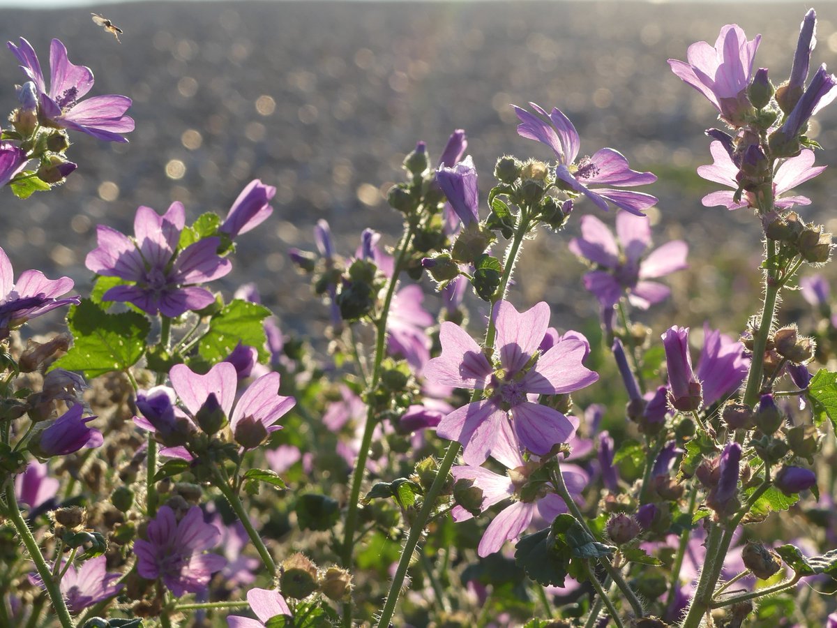 Kate Gold tweet media