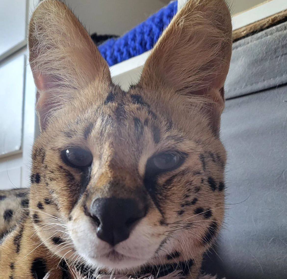 Hi 👋