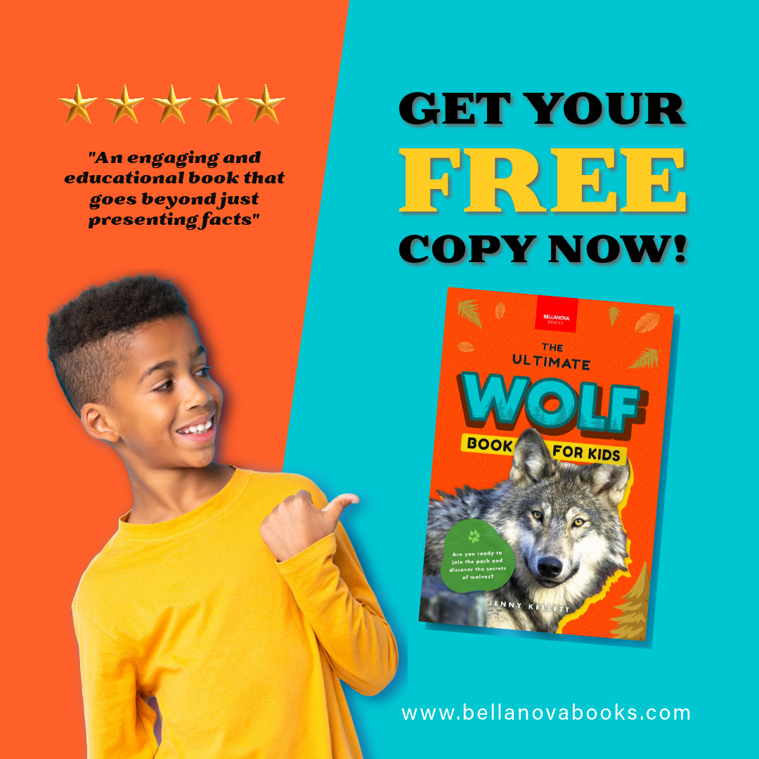BellanovaBooks tweet picture