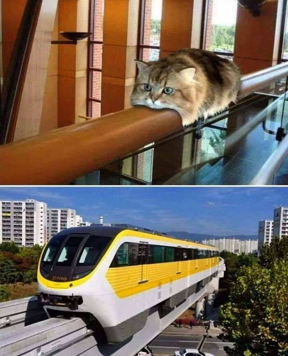 i see no difference