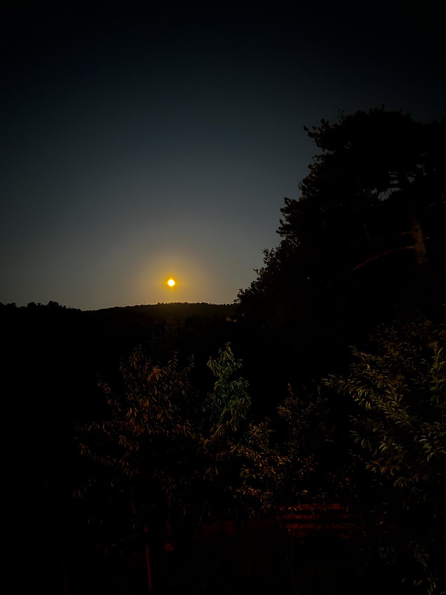 neppzy (@enpsrl) on Twitter photo 