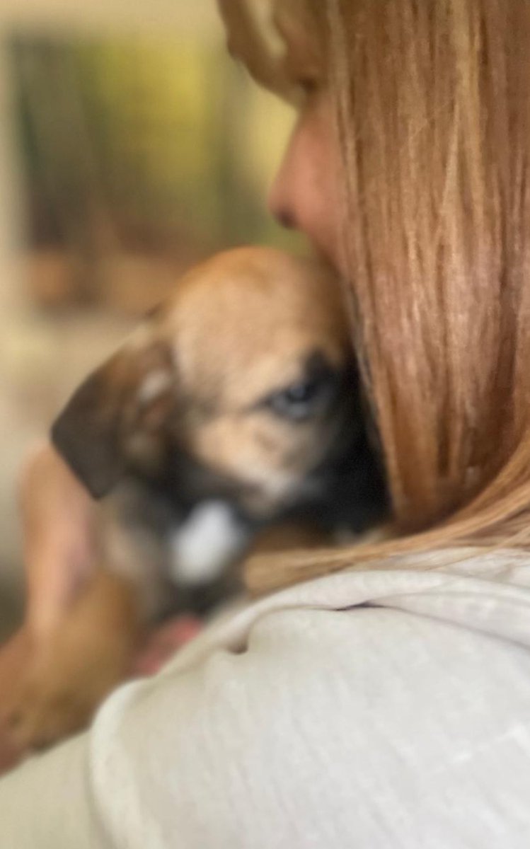 Miss CoCo Brooke tweet media