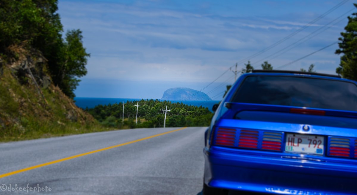 DonnieOK's tweet photo. What an afternoon for a cruise "Down da Bay".  #bayofislands #larkharbour #weeball #Newfoundland #FordMustang #MustangGT #FoxBodyMustang #FoxBody #nltraffic #summer https://t.co/Bad3fzV53p