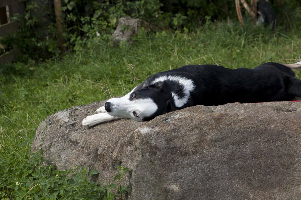 Freedom of Spirit tweet media