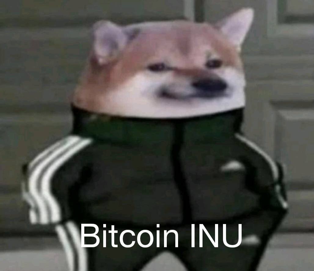 Bitcoin Inu (@bitcoininuu) on Twitter photo 