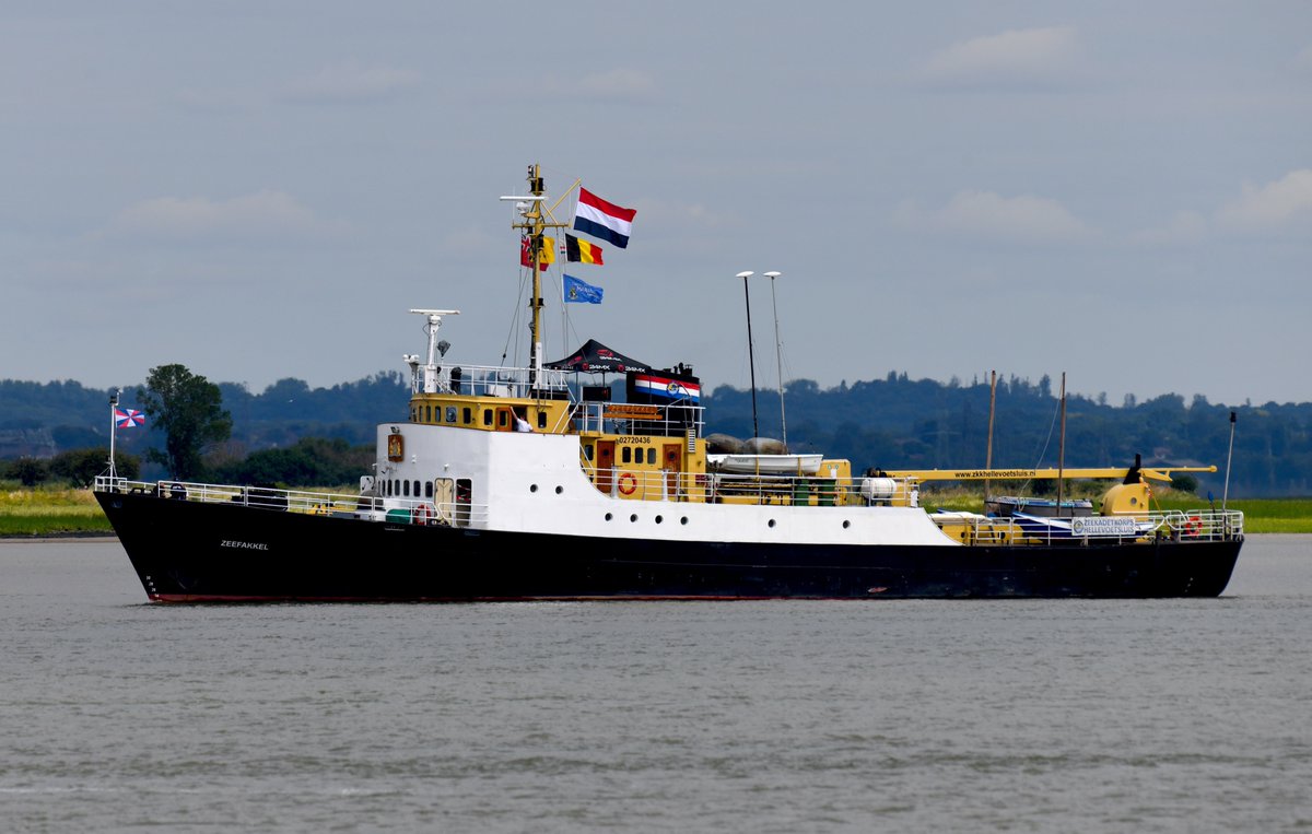 Fraser Gray (@fraserg32883664) on Twitter photo Netherlands training ship Zeefakkel visiting the Thames today. <a href="/ZeekadetkorpsNL/">ZKK Nederland</a> <a href="/NLinUK/">Netherlands Embassy 🇬🇧</a> <a href="/zeefakkel/">ZKK Hellevoetsluis</a> #Zeekadetkorps #Zeefakkel #Shipping #Ships #Schiffe #Shipping #ShipsInPics #Shipspotting #Ship #Ships #ships_best_photos #Thames #RiverThames #Gravesend #Nederland Netherlands training ship Zeefakkel visiting the Thames today. <a href="/ZeekadetkorpsNL/">ZKK Nederland</a> <a href="/NLinUK/">Netherlands Embassy 🇬🇧</a> <a href="/zeefakkel/">ZKK Hellevoetsluis</a> #Zeekadetkorps #Zeefakkel #Shipping #Ships #Schiffe #Shipping #ShipsInPics #Shipspotting #Ship #Ships #ships_best_photos #Thames #RiverThames #Gravesend #Nederland