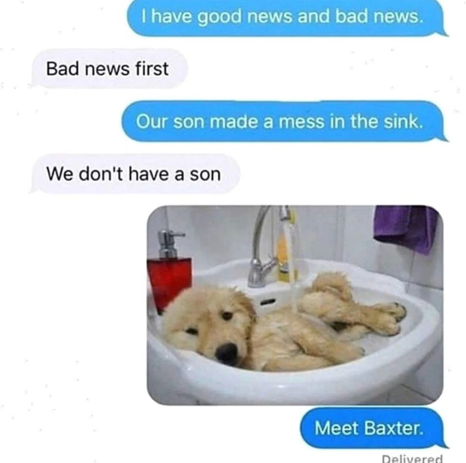 WholesomeMeme's tweet photo. https://t.co/2QkNWNur1O