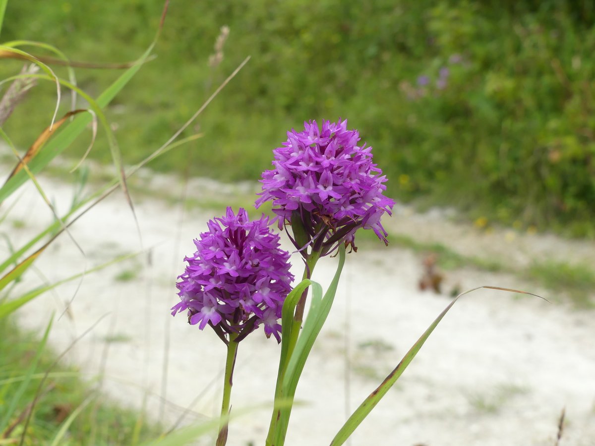 Kate Gold tweet media