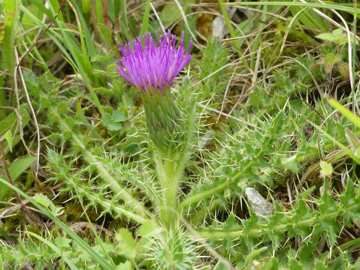 Kate Gold tweet media