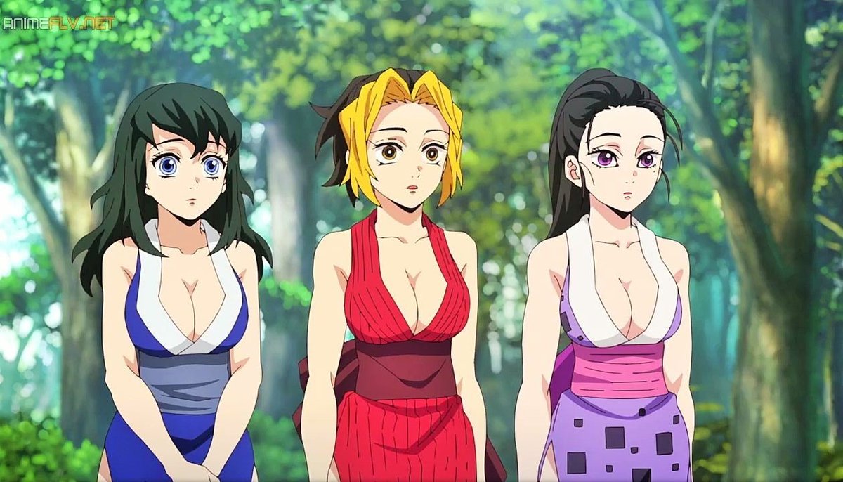 Veo kimetsu no yaiba por la trama.

La trama: