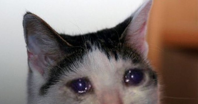 Friends, I am very sad that I do not receive your feedback..  If there is no activity from you, I will