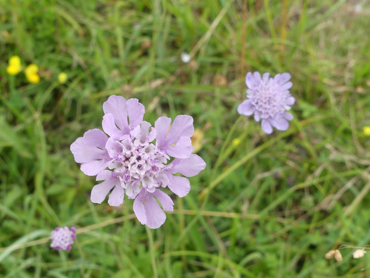 Kate Gold tweet media