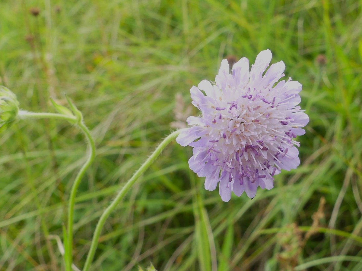 Kate Gold tweet media