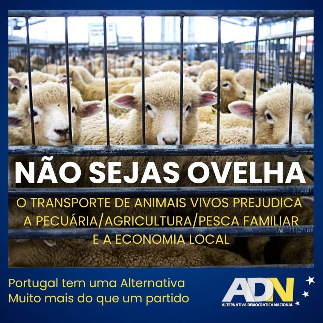 Não sejas ovelha