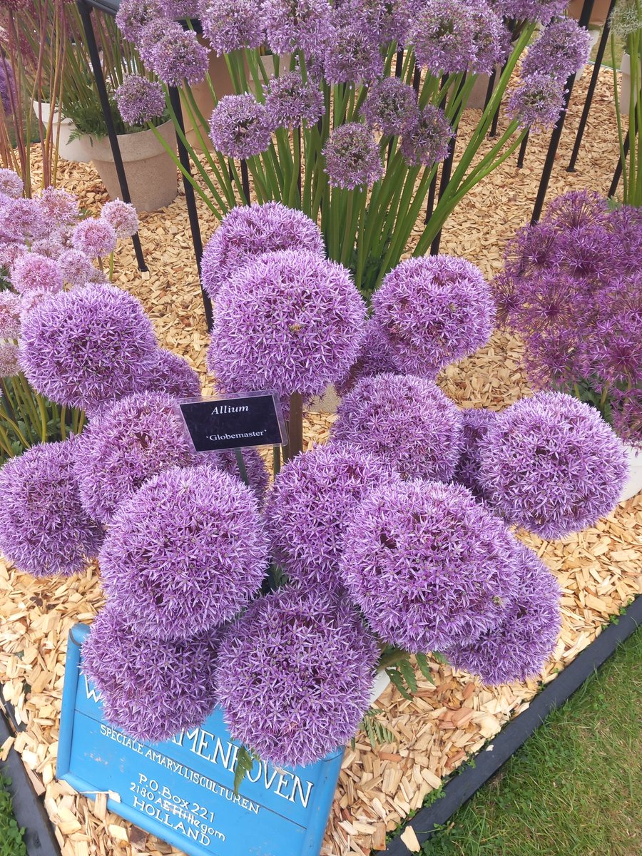 Adam Linnet tweet media