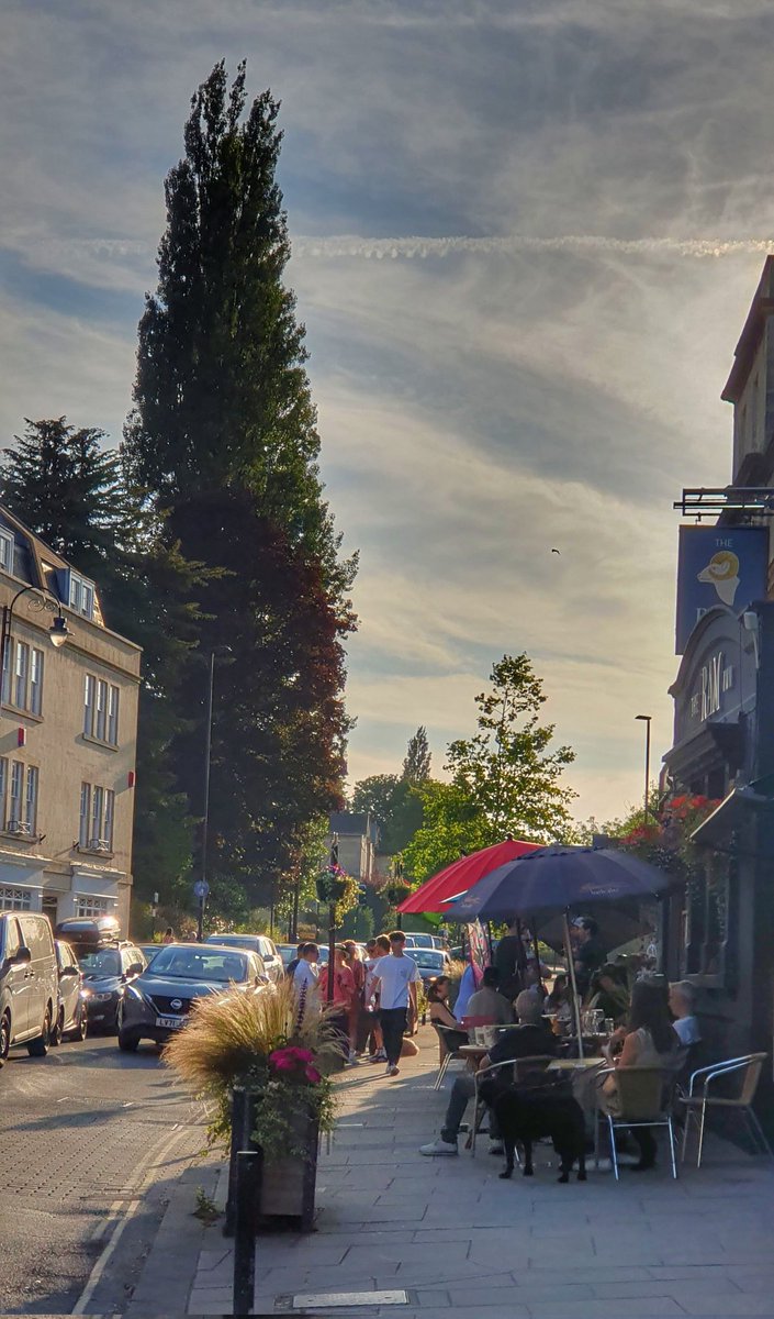 laura wilkins tweet media