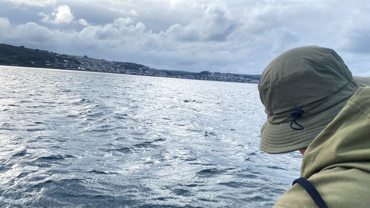 Eventful first pelagic with some people suffering from bad sea sickness. Very rough conditions. Fin Whale, loads of Common Dolphin swimming really close, 30+ Storm Petrel, Manx Shearwaters &amp; 2 Yellow-legged Gull