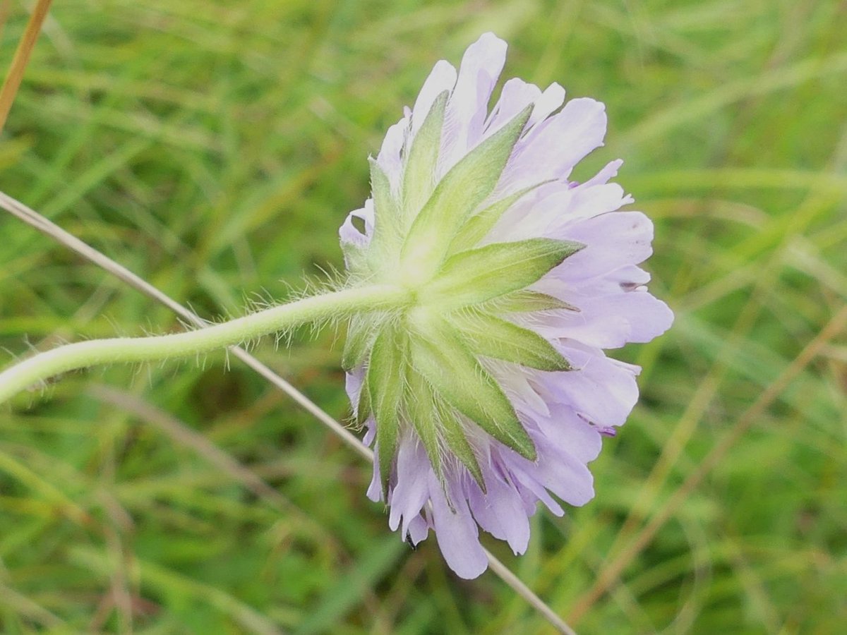 Kate Gold tweet media