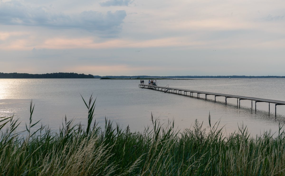 DorteHedengran's tweet photo. I had hoped for a stunning sunset, but the weather changes quickly in DK then I took a dip in the fjord🪼
#Denmark #SonyAlpha #NaturePhotography #streetphotography #photooftheday #July21th #SundayVibes #SundayMood #Sunday
📸Dorte Hedengran https://t.co/O5iO1UIZlZ