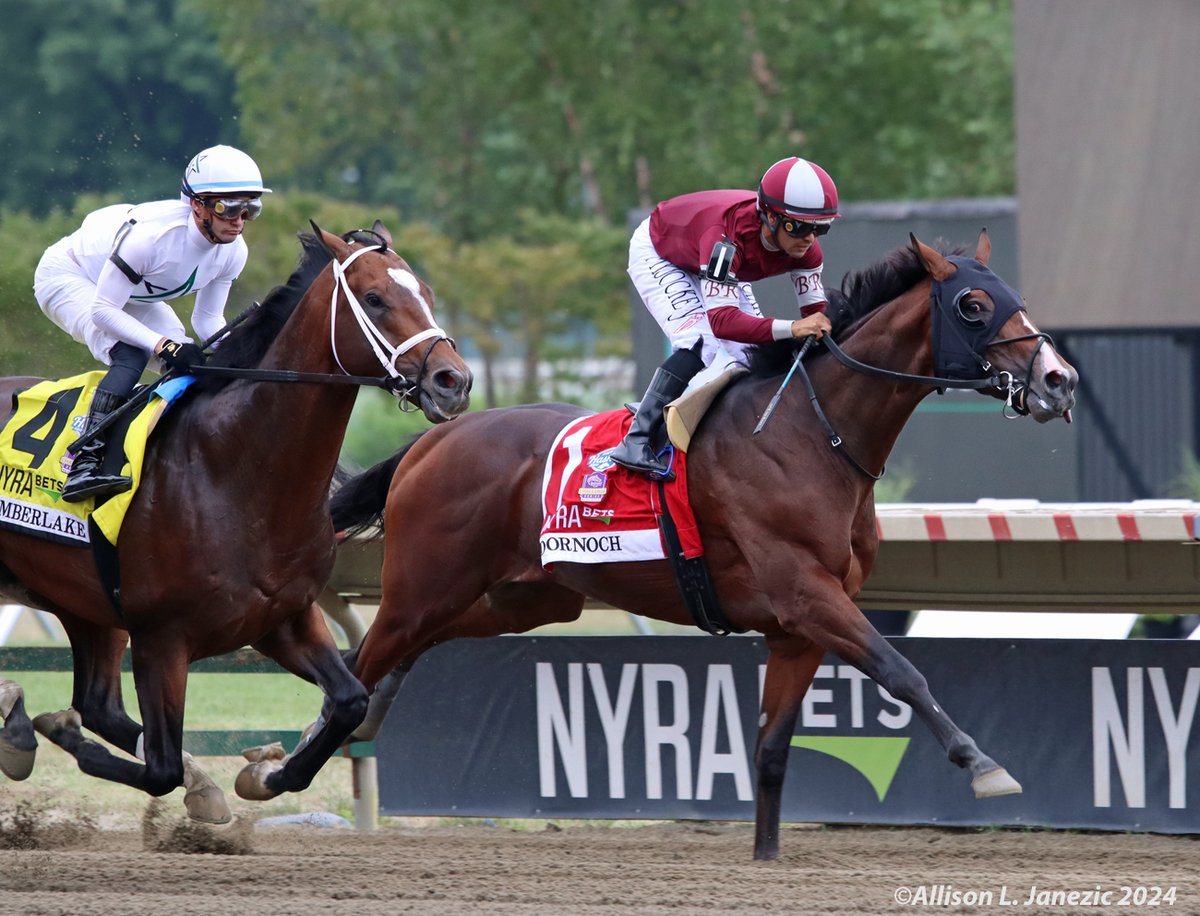 Prairie_Bayou's tweet photo. Dornoch first time by in the Haskell Stakes. Timberlake is to his outside. He was incredibly game in winning this race. @Twoeightracing @MonmouthPark #Dataman #Racehorse #Thoroughbred #HorseRacing #Horse #SportofKings #Dornoch @luissaezpty https://t.co/NLRDJaTOWa