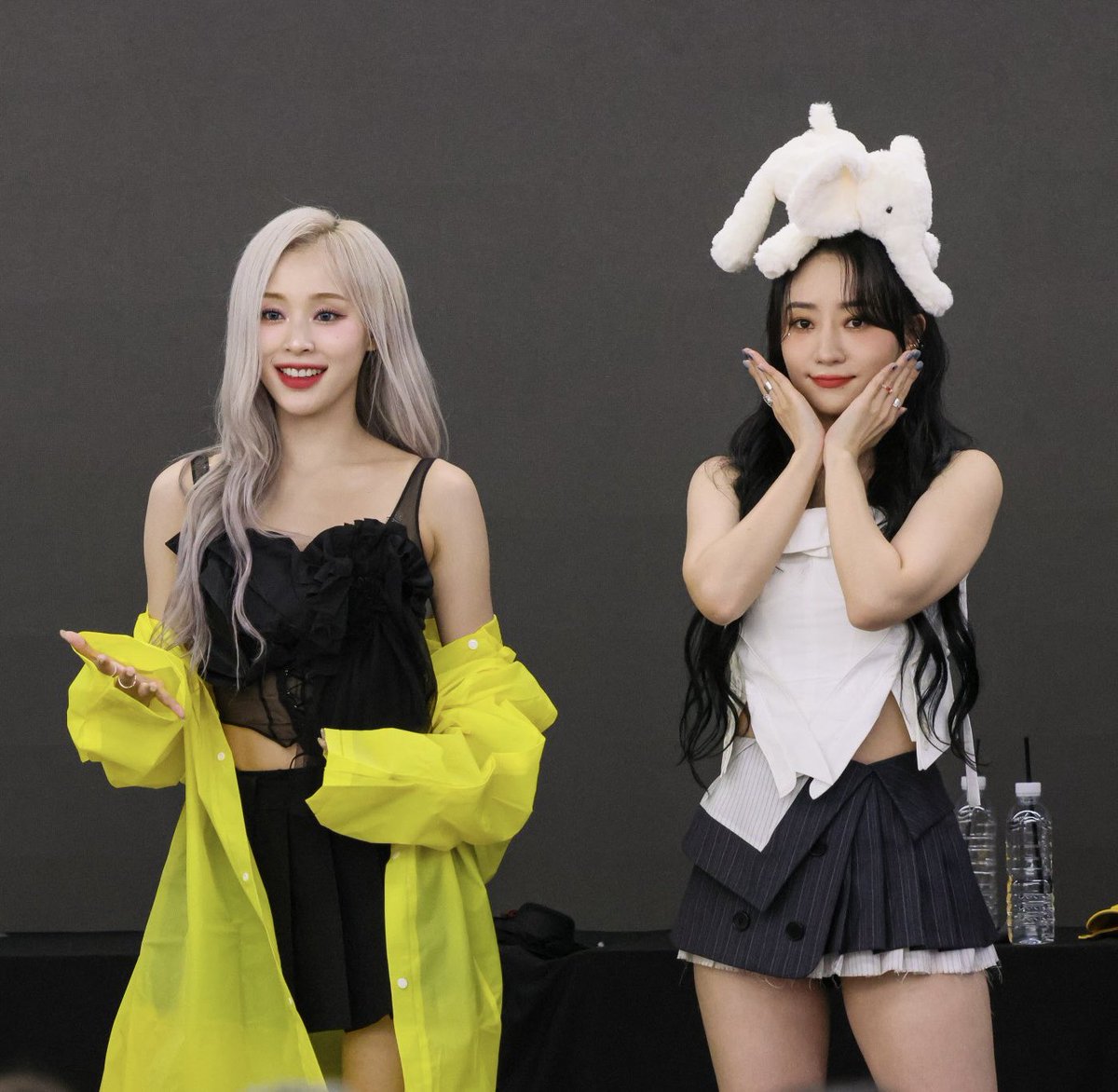 🐥🦊 tweet media