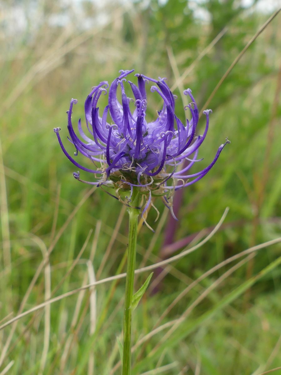 Kate Gold tweet media