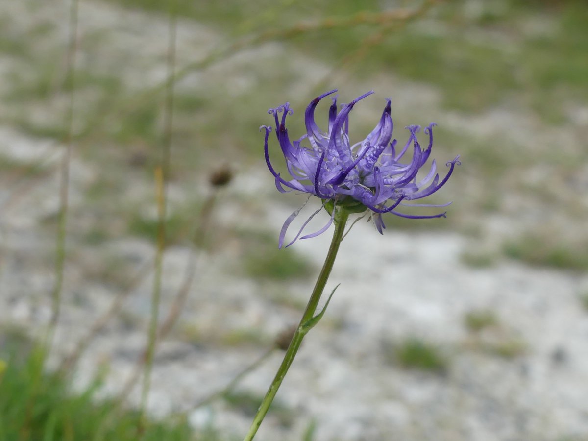 Kate Gold tweet media