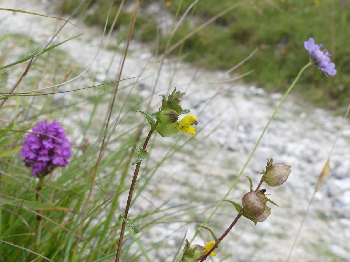 Kate Gold tweet media