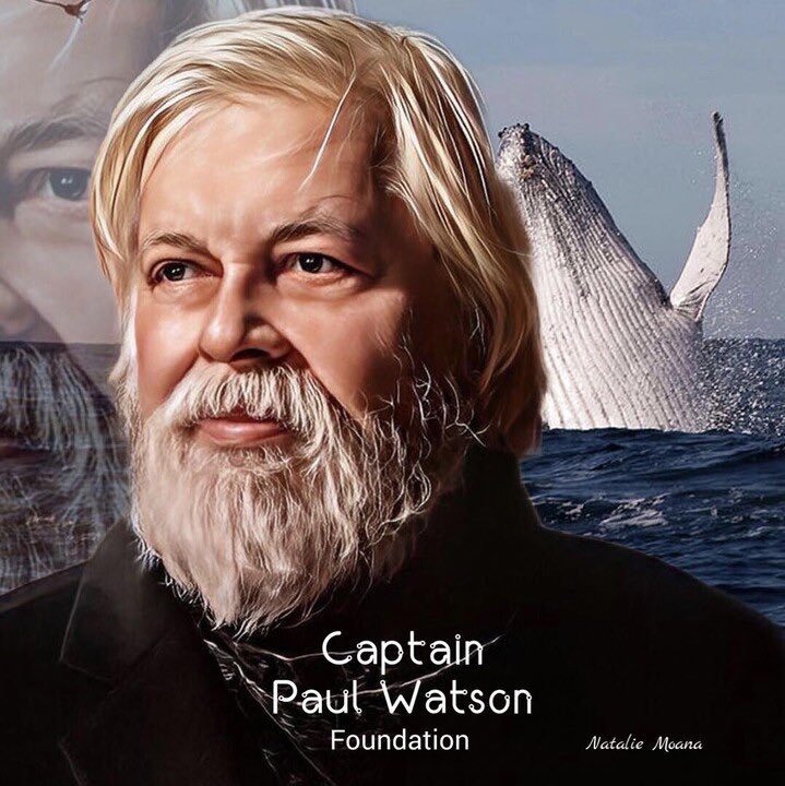 Leo's Animal Planet π¬ (@leosanimalplan1) on Twitter photo Free <a href="/CaptPaulWatson/">Captain Paul Watson Foundation ππ΄ββ οΈ</a>! A world where the biggest ocean warrior is tracked down and arrested like a criminal is a world that has already accepted the sad fate of whales, dolphins, phytoplancton, krill and the ocean. And without them there is no usβ¦ Please help #FreePaulWatson Free <a href="/CaptPaulWatson/">Captain Paul Watson Foundation ππ΄ββ οΈ</a>! A world where the biggest ocean warrior is tracked down and arrested like a criminal is a world that has already accepted the sad fate of whales, dolphins, phytoplancton, krill and the ocean. And without them there is no usβ¦ Please help #FreePaulWatson