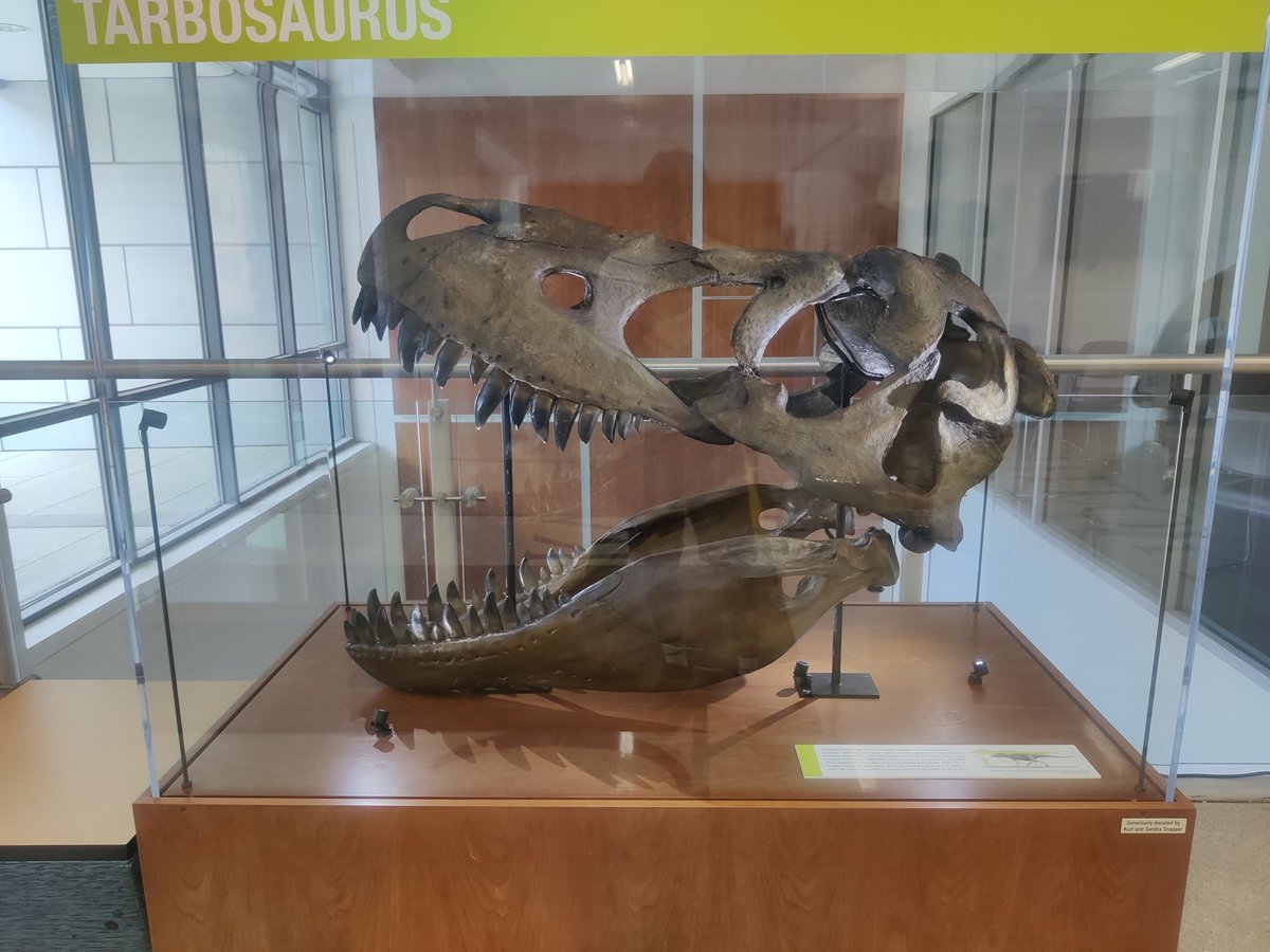 VenuGopal_KS08's tweet photo. Had an incredible time at the Paleobiology Database workshop! Learned so much and met amazing people. Excited to apply these new insights and techniques to my research!
#PbDb #paleobiology #GMU https://t.co/o6v3WyM0FL