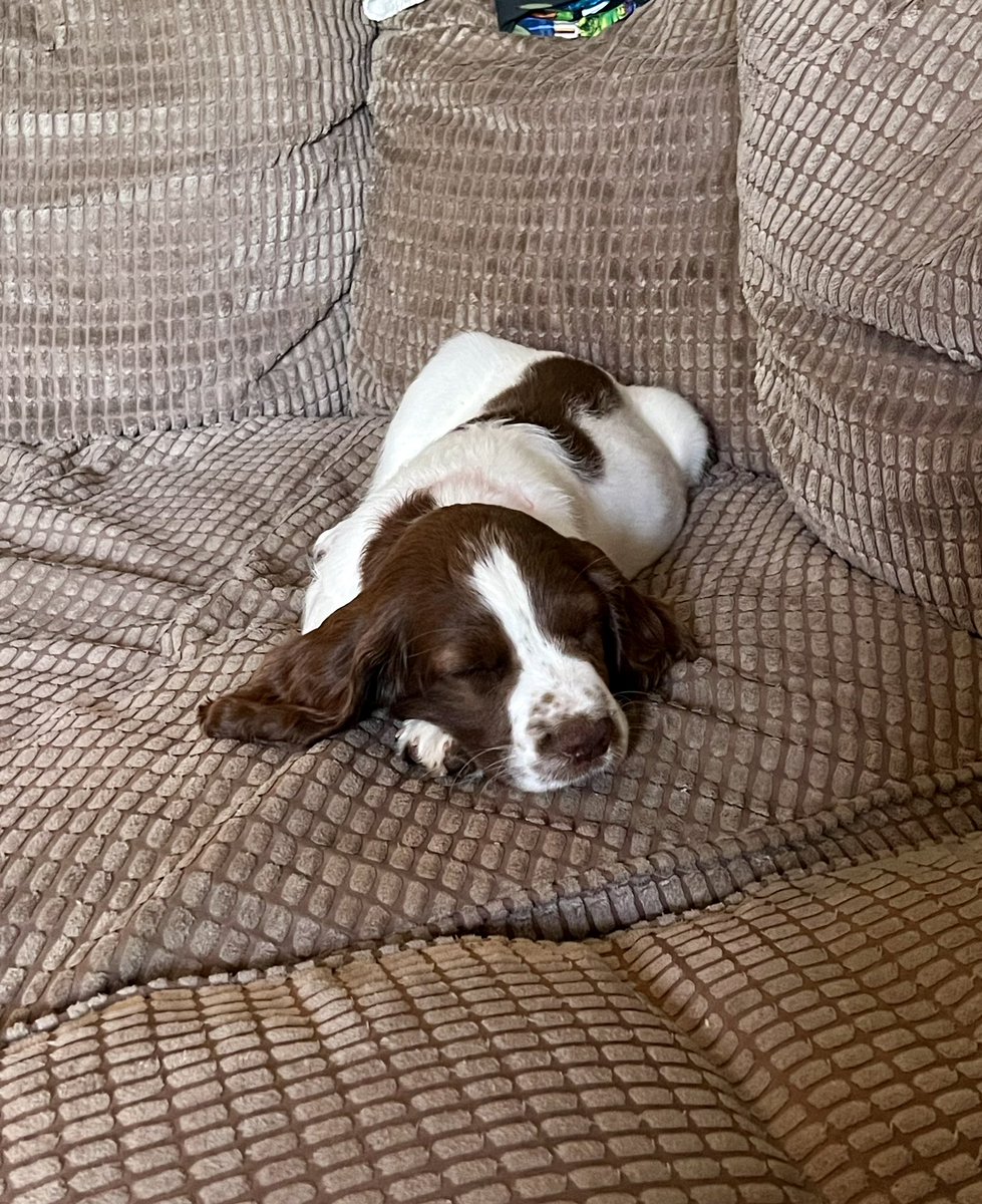 Samantha Turl 💙 tweet media