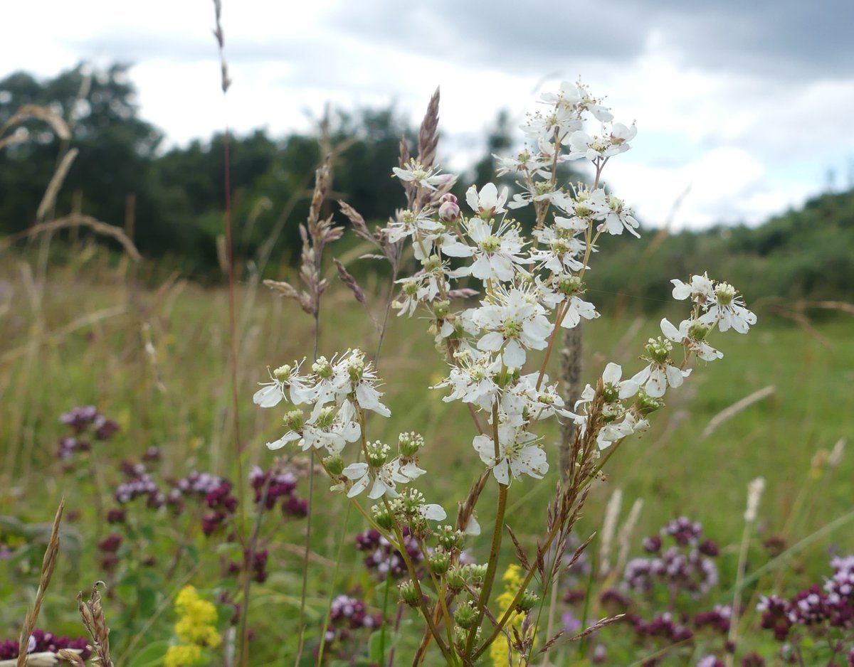 Kate Gold tweet media