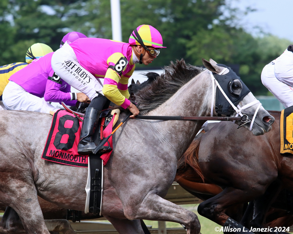 Prairie_Bayou's tweet photo. So Tapit Trice is a gorgeous boy! So nice to see him in the winner's circle again after winning the Monmouth Cup. @MonmouthPark #Dataman #Racehorse #Thoroughbred #HorseRacing #Horse #SportofKings #TapitTrice @PletcherRacing @iradortiz https://t.co/Ut46tchOaL