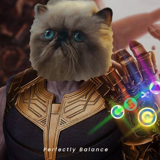 Mr. Miggles shall collect all of them

One by one

Meow :3