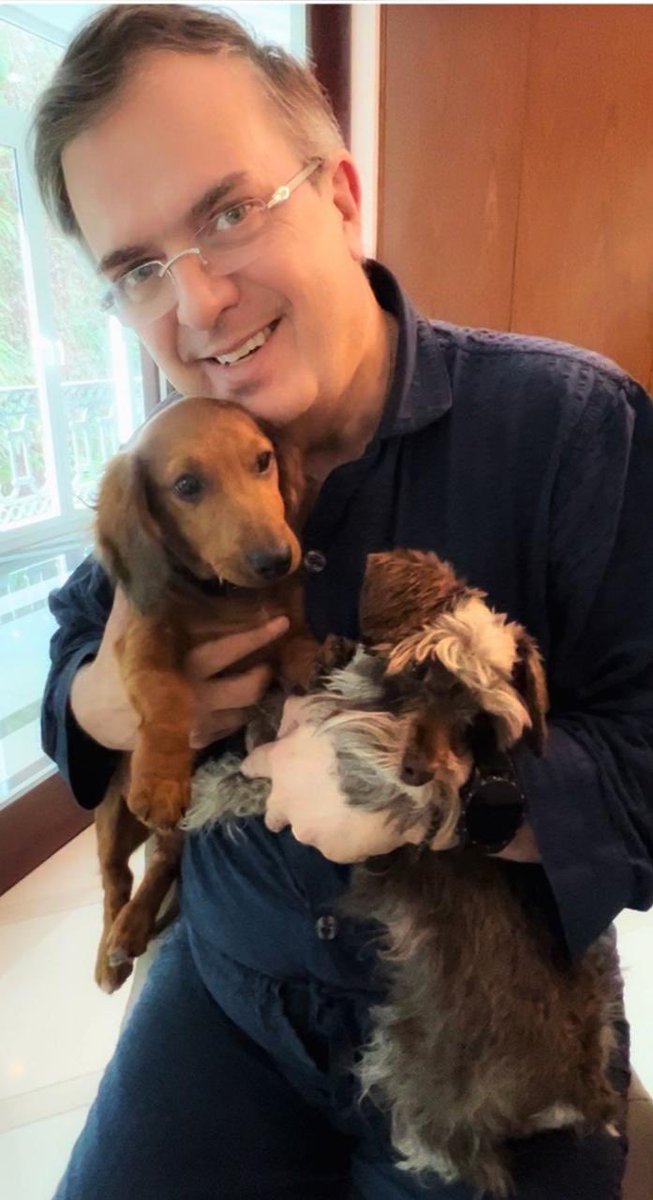 m_ebrard's tweet photo. En medio de tantas noticias provenientes de Estados Unidos , un momentito para Tomy y Luna en este su día !! https://t.co/UypzjfaECf
