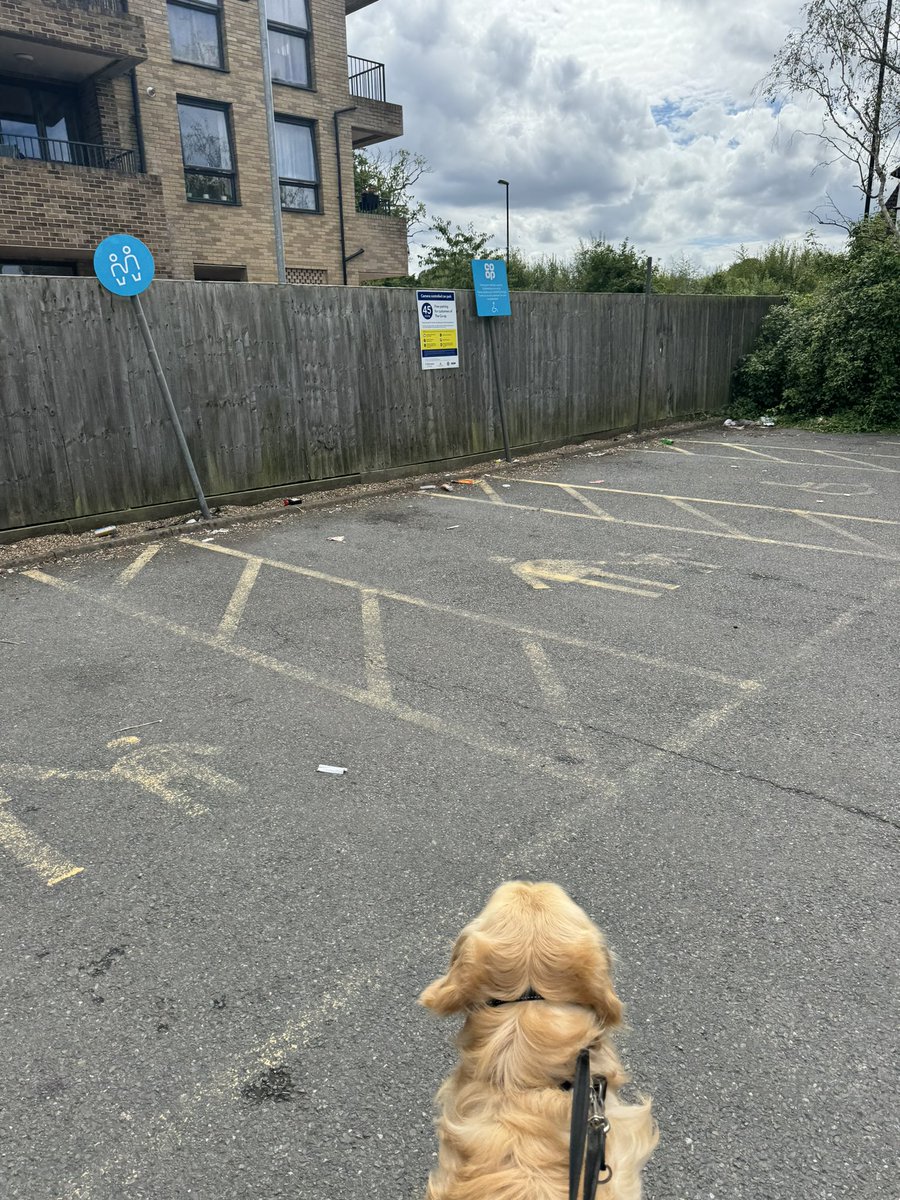 Deep_diver_uk's tweet photo. @coopuk Hi just been to your Hamsey Green store, Warlingham/Sanderstead the car park is a disgrace.  Empty bottles and what looks like needles left around.  Think you need to haste this sorted. https://t.co/8I41iim466