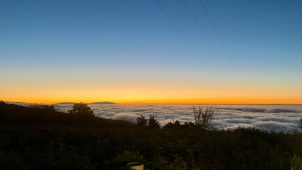 🌅 Sin duda vivimos en el paraíso. Ayer, de camino a Las Abiertas tomaba esta fotografía del #Teide y su manto verde hacia el valle de #Icod. De vuelta, el atardecer, con el mar de nubes y La Palma al fondo. ¡Espectacular!