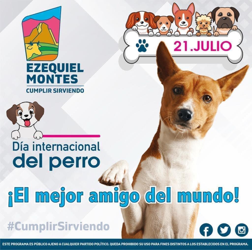Hoy celebramos a esos fieles compañeros de 4 patas que nos llenan la vida de alegría y felicidad. 🐶
Esta fecha se creó con el objetivo de reconocer la importancia de dichos  animales, en el diario vivir de los seres humanos. 
#CumplirSirviendo #GobiernoDePuertasAbiertas